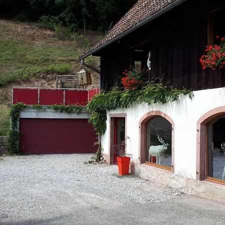 Apartmán Le Moulin Des Automates Fréland Exteriér fotografie