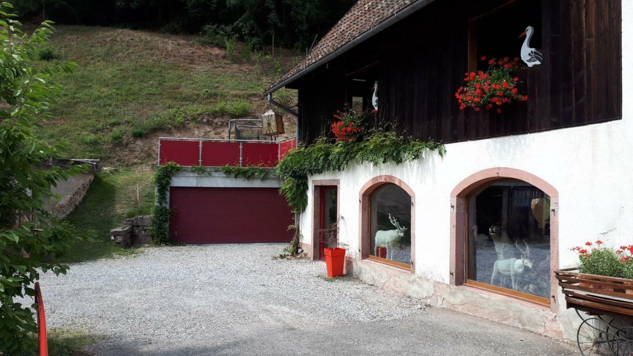 Apartmán Le Moulin Des Automates Fréland Exteriér fotografie
